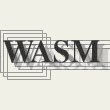 wasm.in